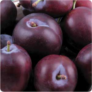 plums, yo.