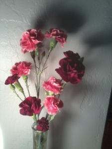 *carnations*