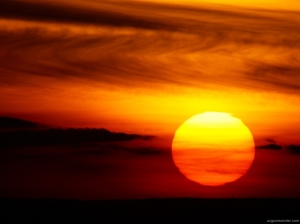 * sunsetular *