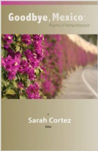 * new anthology! *