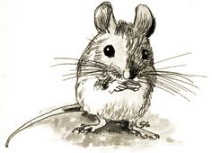 * a mouse *