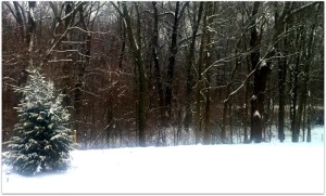* cincisnowti *