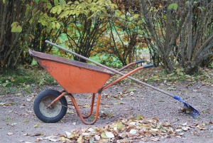 * este wheelbarrow *