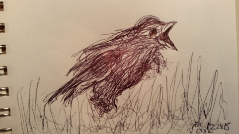 crow