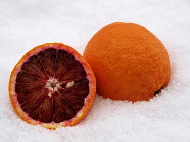 blood-orange-257902_960_720