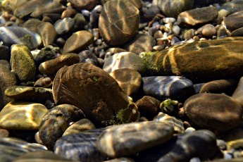 underwater-23040_960_720